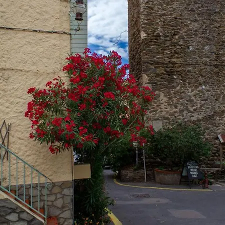 Casa vacanze Cosy Casa, A 300m Collioure